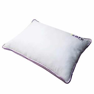 I-Care Cloud Fibre Luxury Pillow